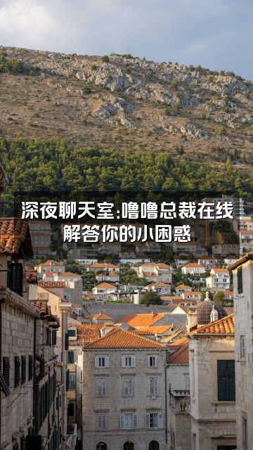 抖音总裁噜噜视频封面：深夜聊天室：噜噜总裁在线解答你的小困惑